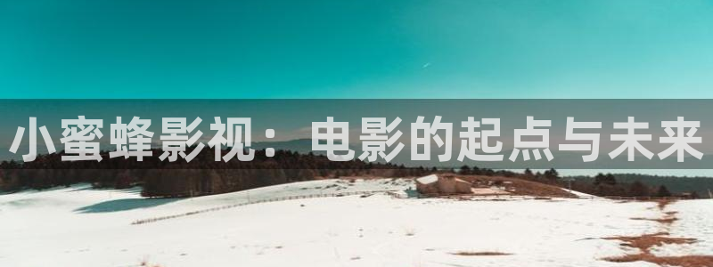 黑蚂蚁电视剧影视大全：小蜜蜂影视：电影的起点与未来