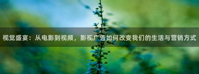 蚂蚁影视黑蚂蚁黄片：视觉盛宴：从电影到视频，影视广告如何改变我们的生活与营销方式