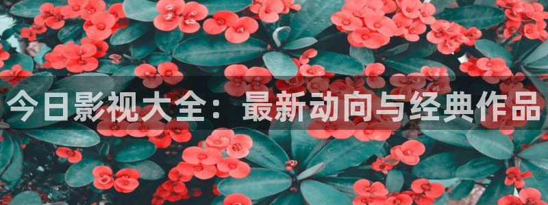 蚂蚁影视 黑蚂蚁：今日影视大全：最新动向与经典作品