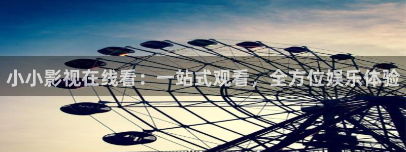 黑蚂蚁影视电视剧官网：小小影视在线看：一站式观看，全方位娱乐体验