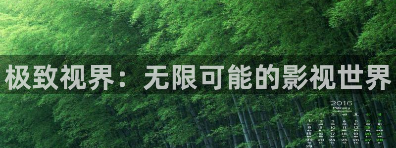 黑蚂蚁影院免费大全：极致视界：无限可能的影视世界