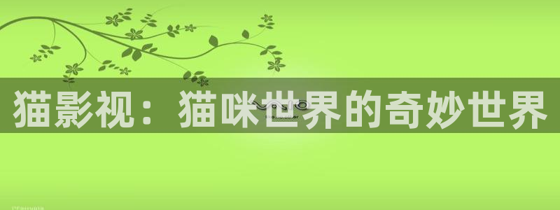 黑蚂蚁影院更新电视剧：猫影视：猫咪世界的奇妙世界