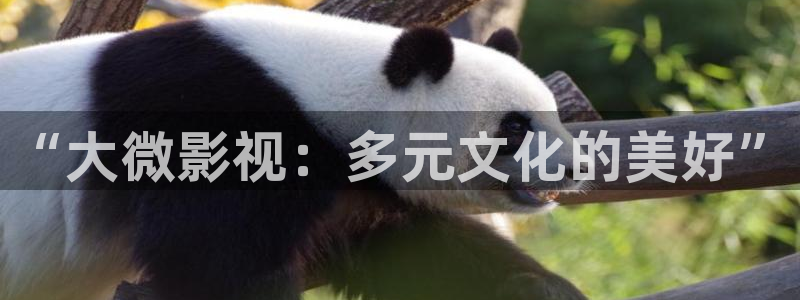 黑蚂蚁电视剧在线观看：“大微影视：多元文化的美好”