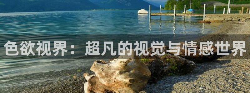 蚂蚁影视黑蚂蚁影院：色欲视界：超凡的视觉与情感世界