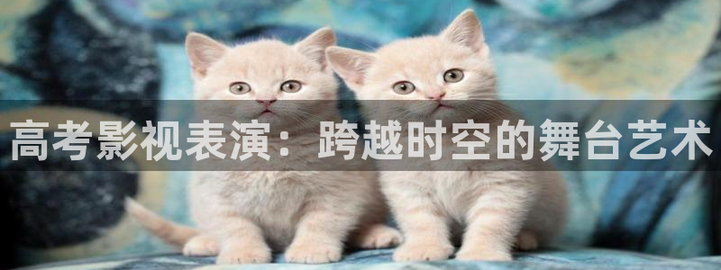黑蚂蚁 电视剧：高考影视表演：跨越时空的舞台艺术