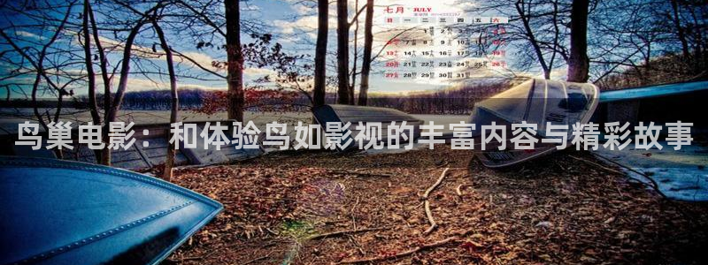 黑蚂蚁影城：鸟巢电影：和体验鸟如影视的丰富内容与精彩故事
