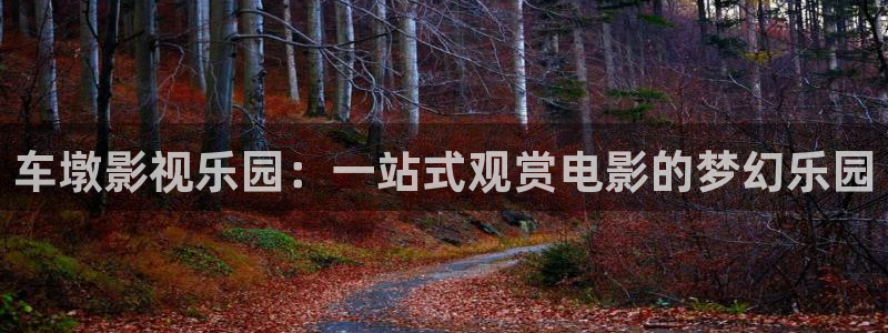 黑蚂蚁视频电视剧：车墩影视乐园：一站式观赏电影的梦幻乐园